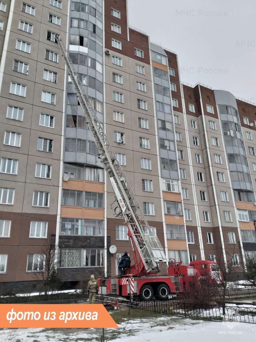 Пожарно-спасательные подразделения Ленинградской области ликвидировали пожар в г. Подпорожье